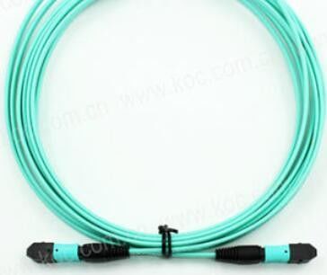 ODM Multimode Fiber Patch Cable , MPO Patch Cord IEC 61754 7