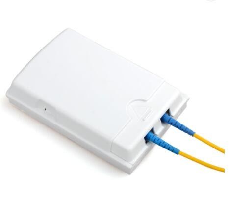 방진의 2 핵심 FTTH 광섬유 접근 박스 벽 말 탄 SGS